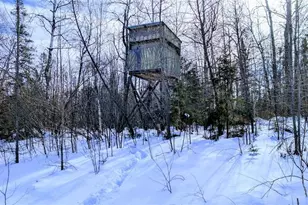 W6660 Cozine Rd, Ladysmith, WI 54848 - Photo 34