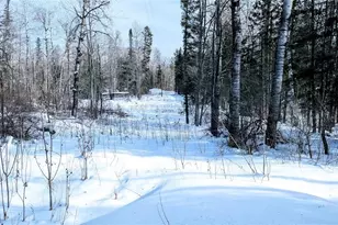 W6660 Cozine Rd, Ladysmith, WI 54848 - Photo 60