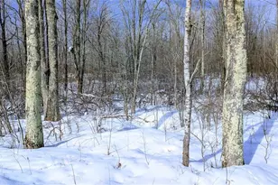 W6660 Cozine Rd, Ladysmith, WI 54848 - Photo 40