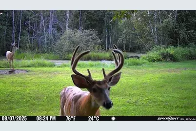 N1675 North Woodyard Road, Shell Lake, WI 54871 - Photo 50