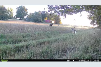 9025 S State Road 37, Eau Claire, WI 54701 - Photo 18