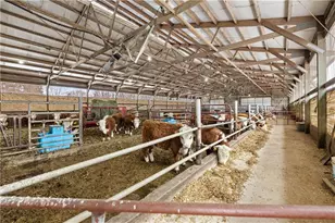 2435 50th Ave, Elk Mound, WI 54739 - Photo 38