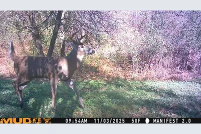 S9025 Lowes Creek Road, Eleva, WI 54738 - Photo 54