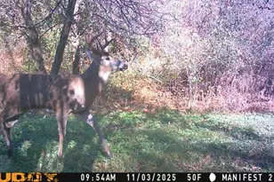 S9025 Lowes Creek Rd, Eleva, WI 54738 - Photo 54