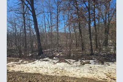 Lot 2 Blackstone Trail, Eleva, WI 54738 - Photo 8