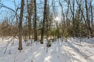 431 Spring Lake Rd, Rhinelander, WI 54501 - Photo 30