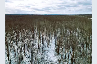 96+ Acres On White Birch Ridge Road, Ladysmith, WI 54848 - Photo 16