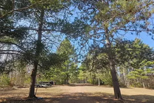 30284 Nicaboyne Lake Rd, Danbury, WI 54830 - Photo 36