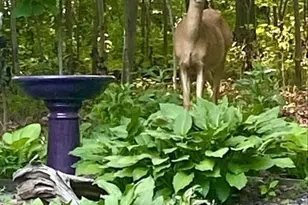 1621 20 3/8 St, Cameron, WI 54822 - Photo 36