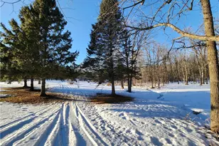 16334 W Stoney Hill Rd, Edgewater, WI 54817 - Photo 18