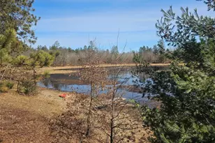 30270 Nicaboyne Lake Rd, Danbury, WI 54830 - Photo 2