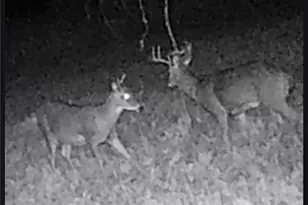 2787 70th St, Eau Claire, WI 54703 - Photo 36