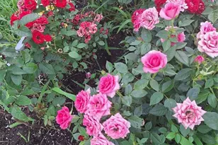 N4388 Esther Dr, Onalaska, WI 54650 - Photo 38