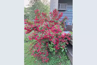 N4388 Esther Drive, Onalaska, WI 54650 - Photo 42