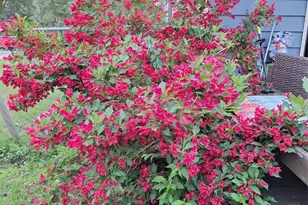 N4388 Esther Dr, Onalaska, WI 54650 - Photo 42