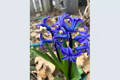 206 Mead Street, Eau Claire, WI 54703 - Photo 20