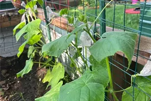 206 Mead St, Eau Claire, WI 54703 - Photo 22