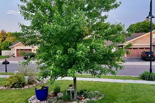 617 Blue Karner Dr, Altoona, WI 54720 - Photo 14