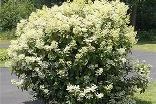 812 Oak St, Barron, WI 54812 - Photo 4