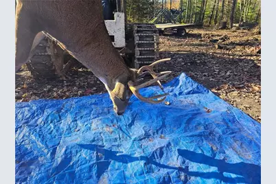 W6914 Sunset Lane, Phillips, WI 54555 - Photo 10