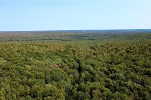 247125 Nehrbass Rd, Athens, WI 54411 - Photo 40