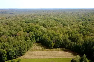 247125 Nehrbass Rd, Athens, WI 54411 - Photo 38