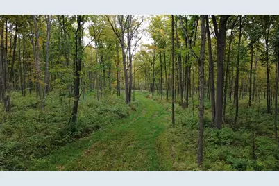 247125 Nehrbass Road, Athens, WI 54411 - Photo 42