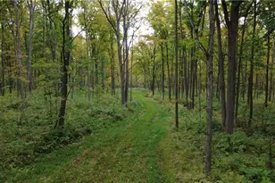 247125 Nehrbass Rd, Athens, WI 54411 - Photo 42