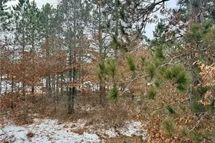 7597 Ostrom Rd, Minong, WI 54859 - Photo 28