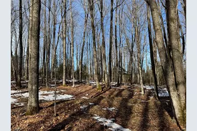 Lot 1 County Hwy G, Winter, WI 54896 - Photo 16