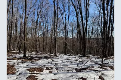 Lot 1 County Hwy G, Winter, WI 54896 - Photo 14