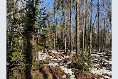 Lot 1 County Hwy G, Winter, WI 54896 - Photo 22