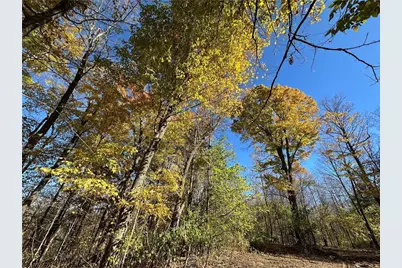 Lake Lot 7(3.73 Acres) Deer Lake Road, Exeland, WI 54835 - Photo 8