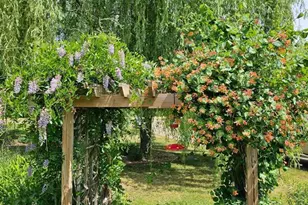 683 W Riverside Ave, Mondovi, WI 54755 - Photo 44