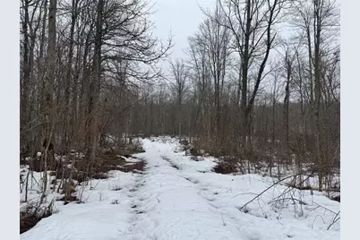 Lots 22-23 Deepwoods Run, Ojibwa, WI 54862 - Photo 46