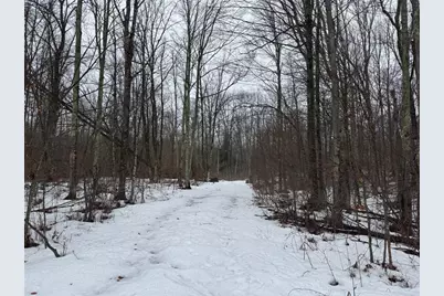 Lots 22-23 Deepwoods Run, Ojibwa, WI 54862 - Photo 44