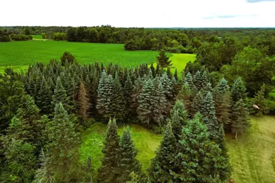 W7753 Old 14 Road, Ladysmith, WI 54848 - Photo 30