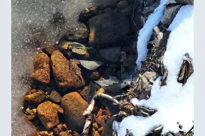 N10428 W Solberg Lake Road, Phillips, WI 54555 - Photo 30