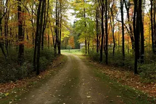 N6150 807th St, Elk Mound, WI 54739 - Photo 46