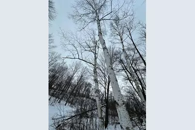 Tbd 10 Acres Antler Lake Drive, Milltown, WI 54858 - Photo 30