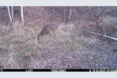 Tbd 10 Acres Antler Lake Drive, Milltown, WI 54858 - Photo 20