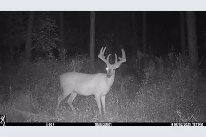 Tbd 10 Acres Antler Lake Drive, Milltown, WI 54858 - Photo 8