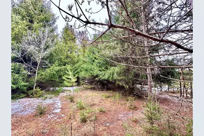 5 Acres 630th Street, Colfax, WI 54730 - Photo 20