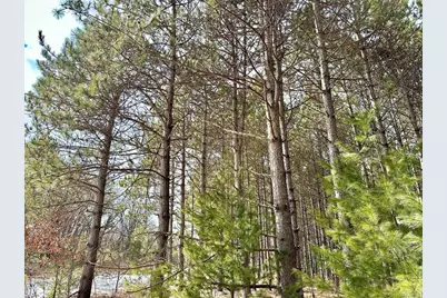 5 Acres 630th Street, Colfax, WI 54730 - Photo 4