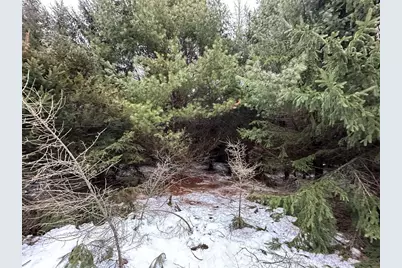 5 Acres 630th Street, Colfax, WI 54730 - Photo 24