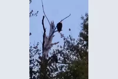 N12940 County Road T, Fairchild, WI 54741 - Photo 42