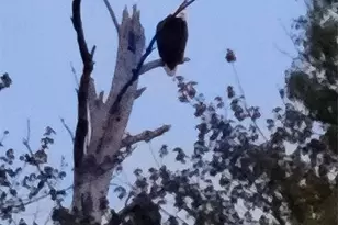 N12940 County Road T, Fairchild, WI 54741 - Photo 42