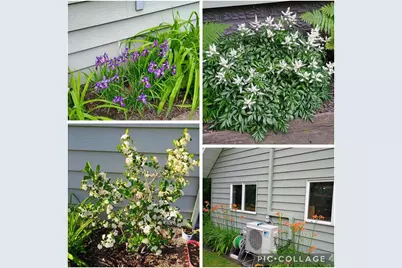 1908 Lasalle Street, Eau Claire, WI 54703 - Photo 42