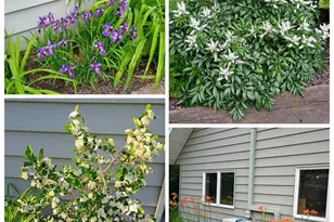 1908 LaSalle St, Eau Claire, WI 54703 - Photo 42