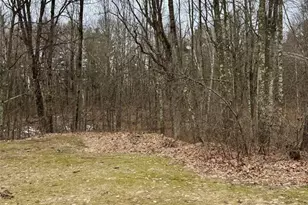 W855 Metcalf Rd, Stone Lake, WI 54876 - Photo 16